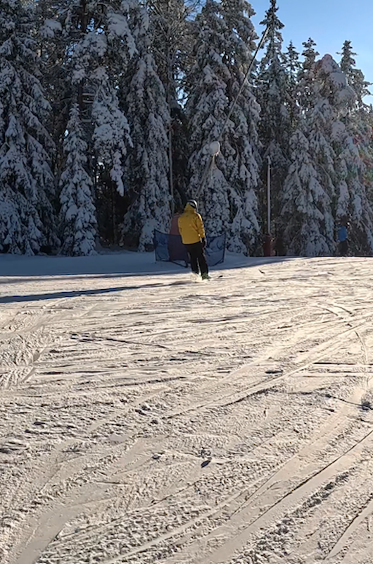 Ski